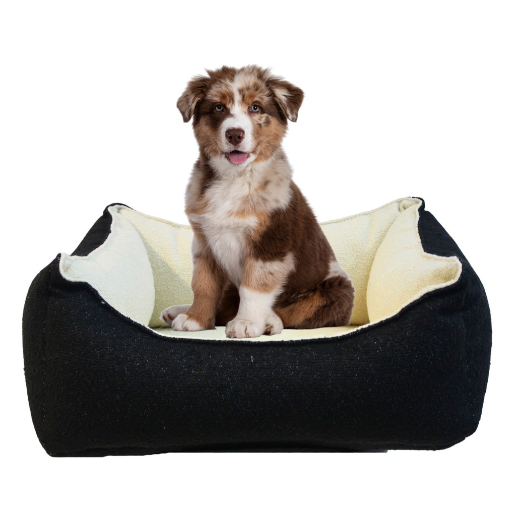 Cama inteligente para perro chica napolitana // Outlet